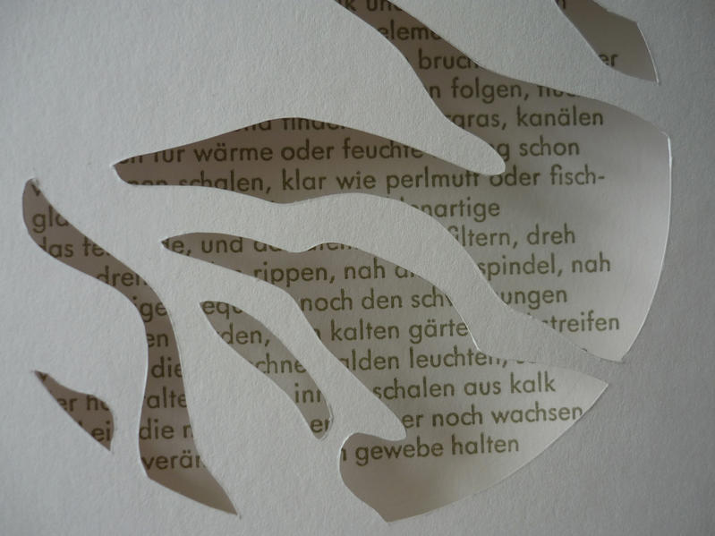 fischhaare finden