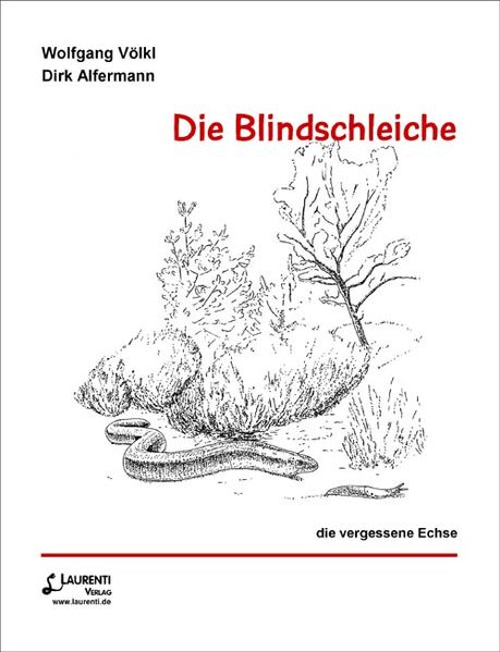 Die Blindschleiche