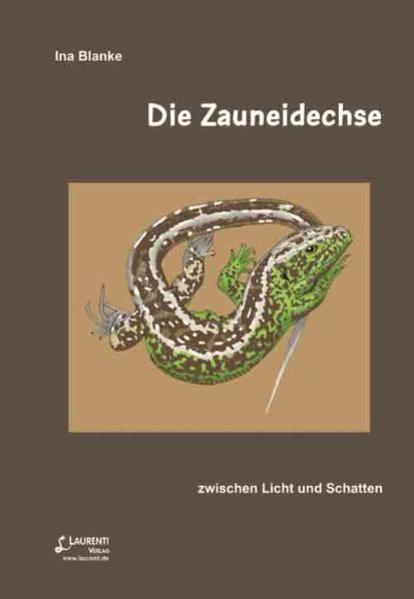 Die Zauneidechse
