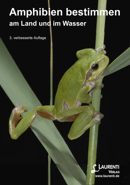 Amphibien bestimmen