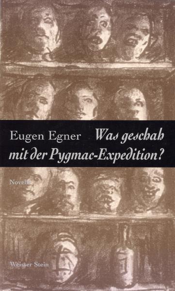 Was geschah mit der Pygmac-Expedition?