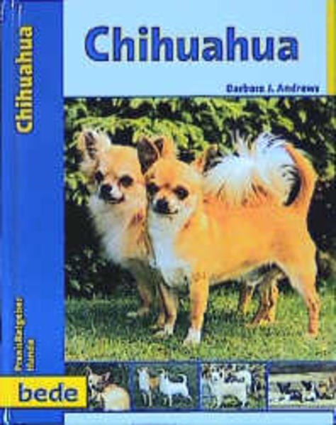 Praxisratgeber Chihuahua