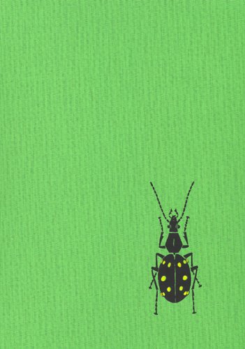 Systematic List of extant ground beettes of the world, 2nd Edition