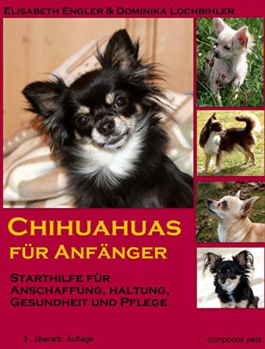 Chihuahuas für Anfänger