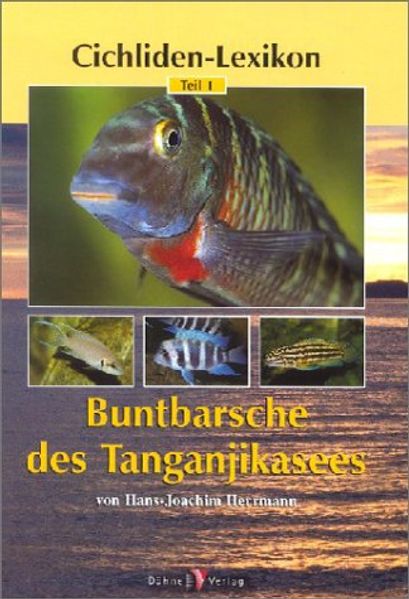 Buntbarsche des Tanganjikasees
