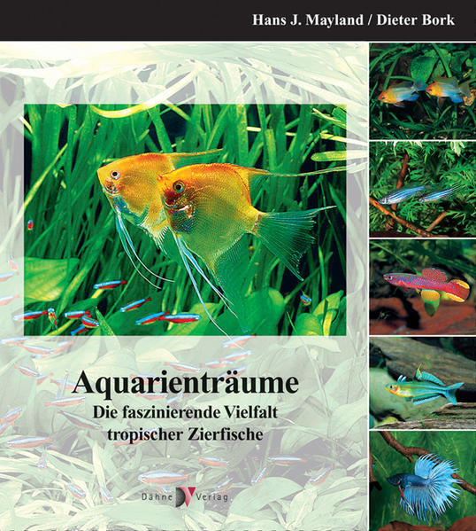 Aquarienträume