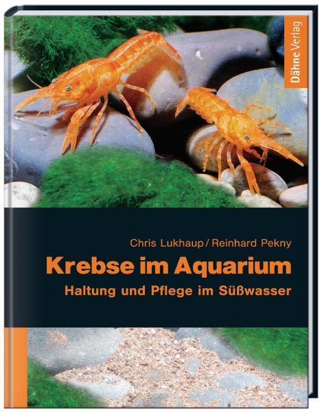 Krebse im Aquarium