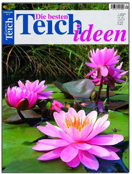 Die besten Teichideen