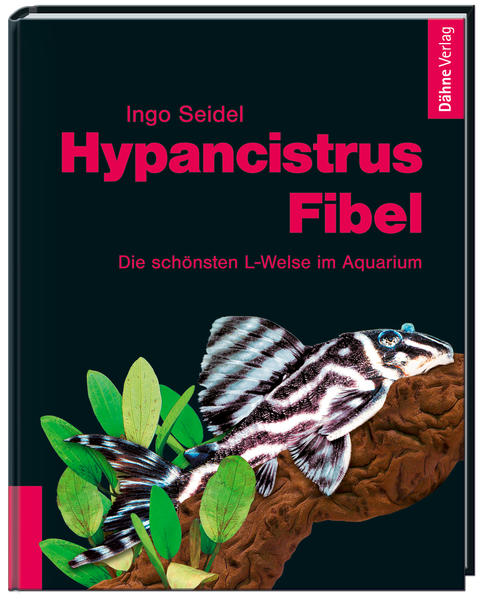 Hypancistrus-Fibel