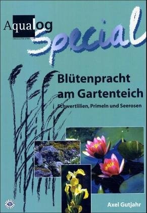 Blütenpracht am Gartenteich