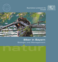 Biber in Bayern