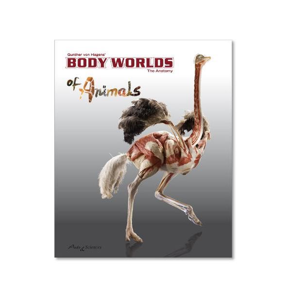 Body Worlds of Animals. The Anatomy