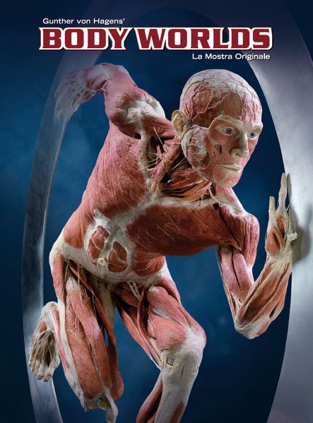 BODY WORLDS - La Mostra Originale (IT)