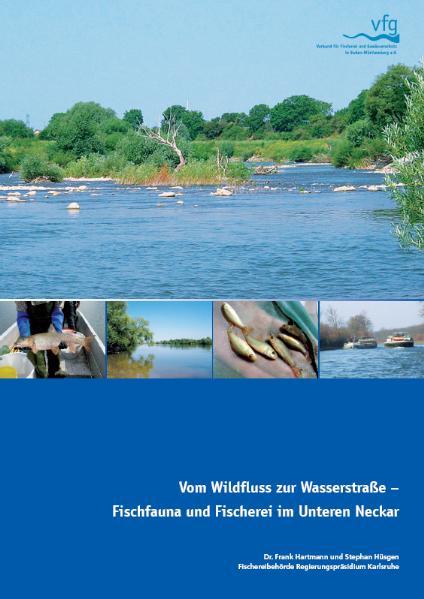 Vom Wildfluss zur Wasserstraße