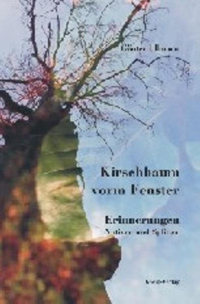 Kirschbaum vorm Fenster
