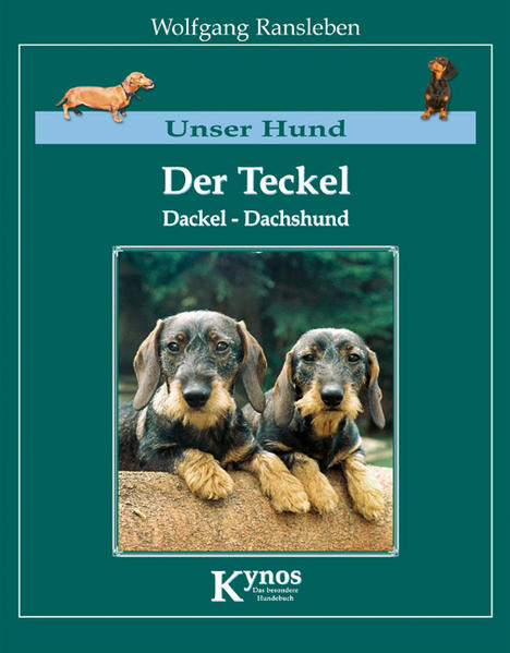 Der Teckel, Dackel, Dachshund