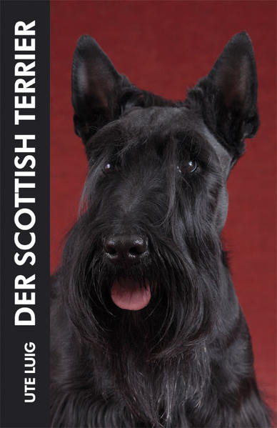Der Scottish Terrier