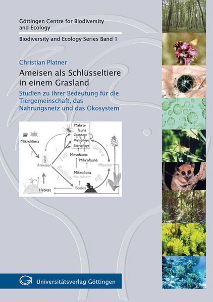 Ameisen als Schlüsseltiere in einem Grasland