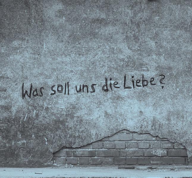 Was soll uns die Liebe