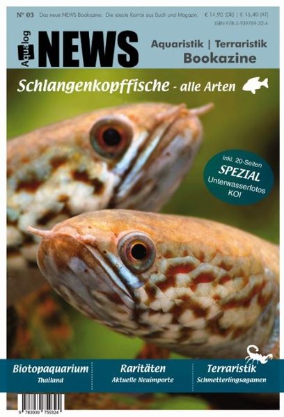 NEWS Bookazine