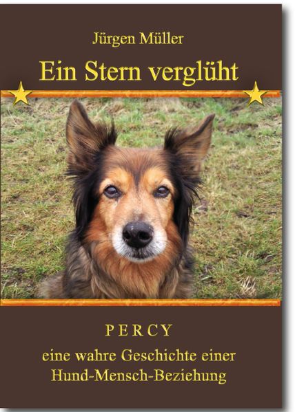 Ein Stern verglüht