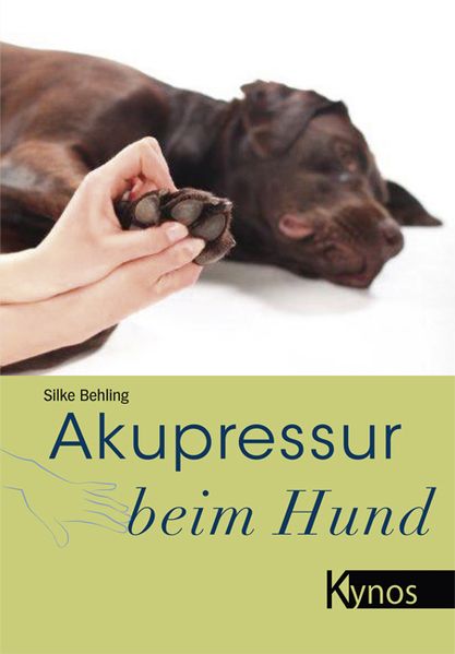Akupressur beim Hund