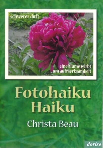 Fotohaiku, Haiku