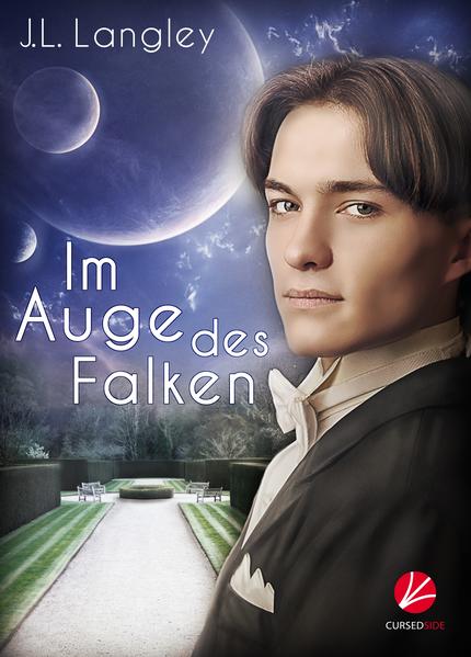 Im Auge des Falken