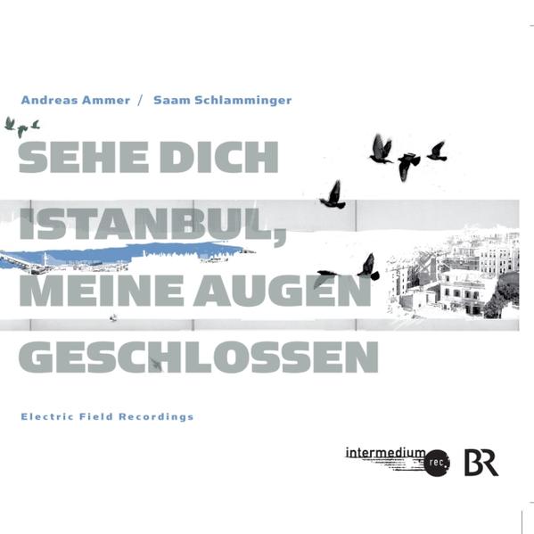 Sehe dich Istanbul, meine Augen geschlossen