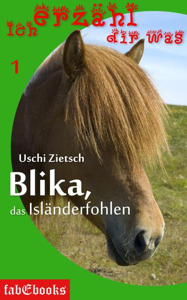 Ich erzähl dir was 1: Blika, das Isländerfohlen