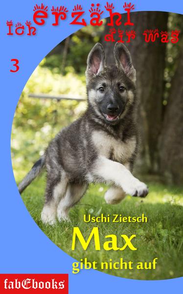 Ich erzähl dir was 3: Max gibt nicht auf