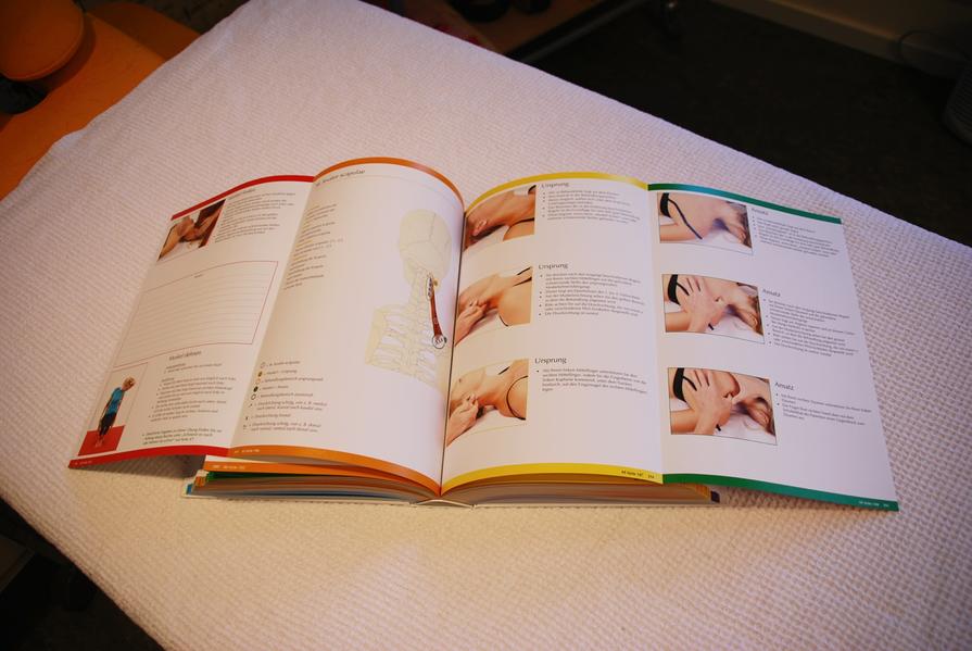 Atlas der Hock Schmerztherapie