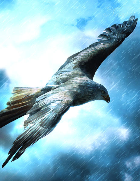 Fantasy Notizbuch: Adler im Sturm - weiße Seiten mit Eckmotiv