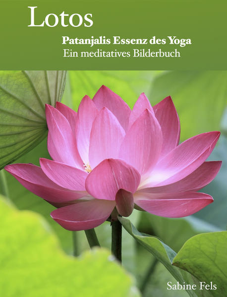 Lotos - Patanjalis Essenz des Yoga