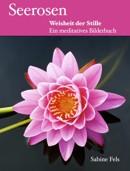 Seerosen - Weisheit der Stille
