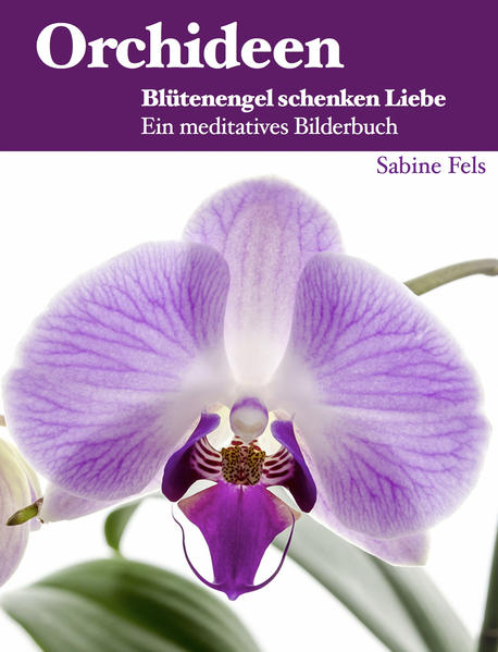 Orchideen - Blütenengel schenken Liebe 
