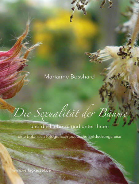 Die Sexualität der Bäume und die Liebe zu und unter ihnen