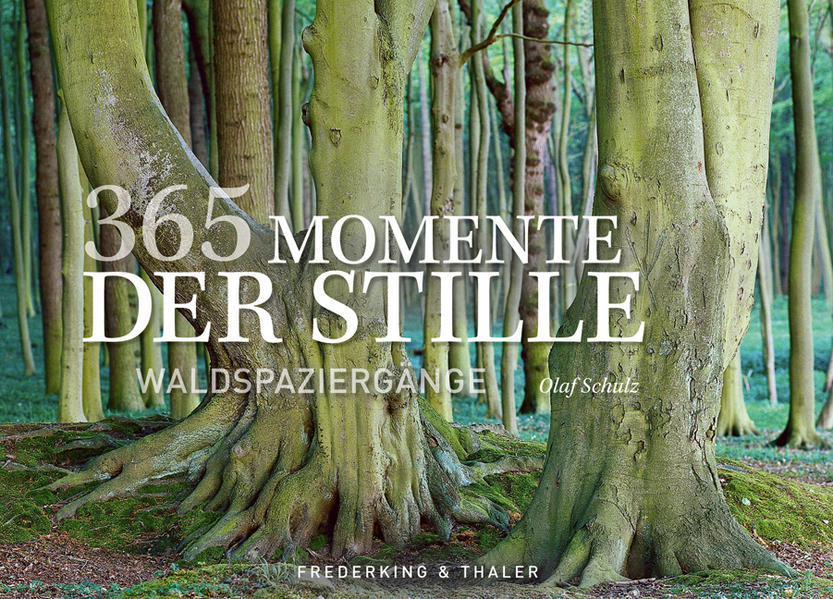 Tischaufsteller 365 Momente der Stille