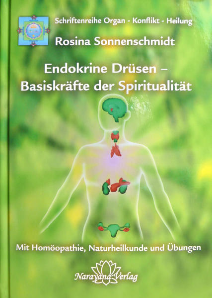 Endokrine Drüsen - Basiskräfte der Spiritualität