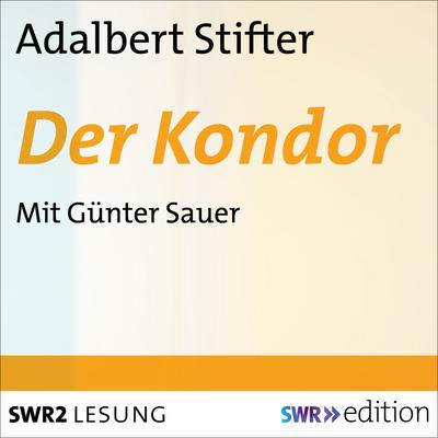 Der Kondor