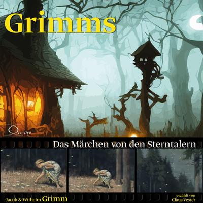 Das Märchen von den Sterntalern