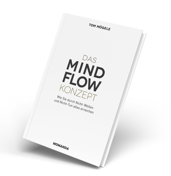 Das MindFlow Konzept