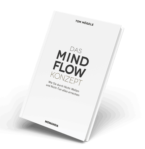 Das MindFlow Konzept