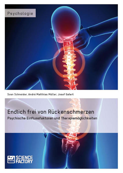 Endlich frei von Rückenschmerzen. Psychische Einflussfaktoren und Therapiemöglichkeiten