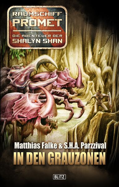 Raumschiff Promet - Die Abenteuer der Shalyn Shan 05: In den Grauzonen