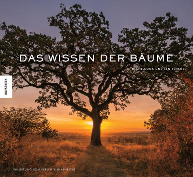 Das Wissen der Bäume