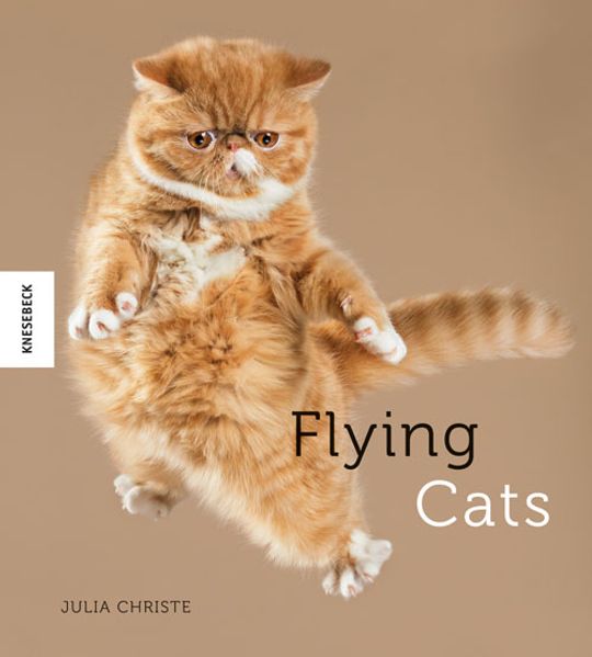 Flying Cats