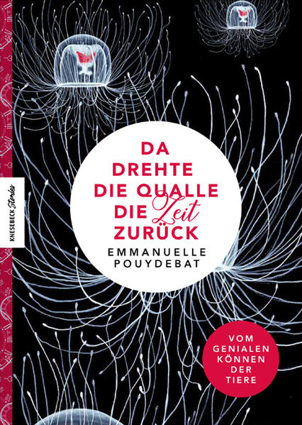 Da drehte die Qualle die Zeit zurück