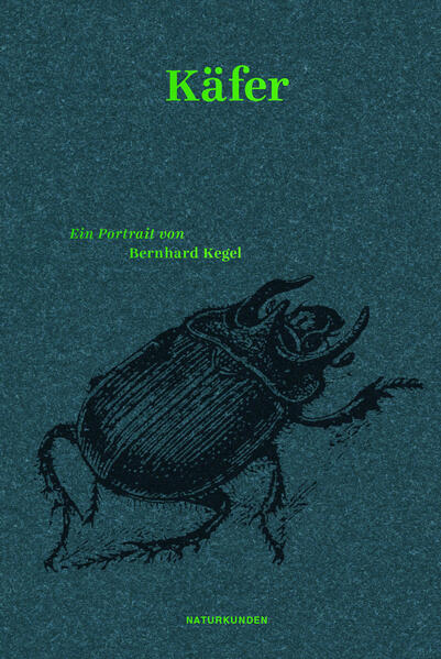 Käfer