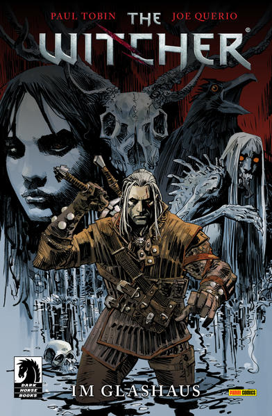 The Witcher, Band 1